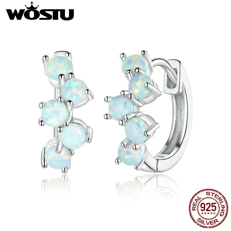 WOSTU Geometry Opal Hoop Earrings Real 925 Sterling Silver Gorgeous Earrings For Women Wedding Best Gift Jewelry CQE941