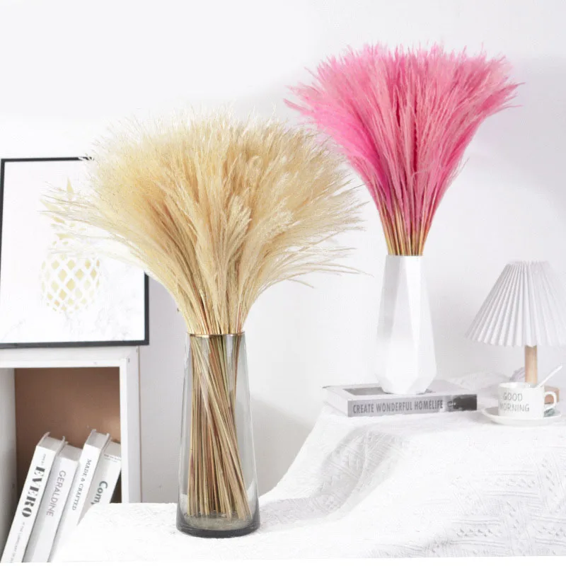 Dried Pampas Grass Decor Flowers Panpas Artificiales Para Decoracion Home Decor Wedding Arrangement Flower Decoration Plants