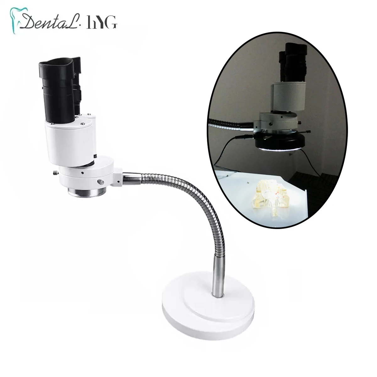 High Definition Dental Lab Microscope Binocular Denture Processing Microscope /Jade Ware Processing Microscope 5X/10X/15X/20X