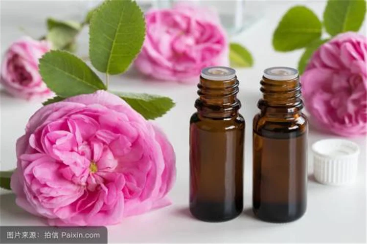 10L Home Essential Oil Distillation Machine Steam Essential Oil Extract Machine