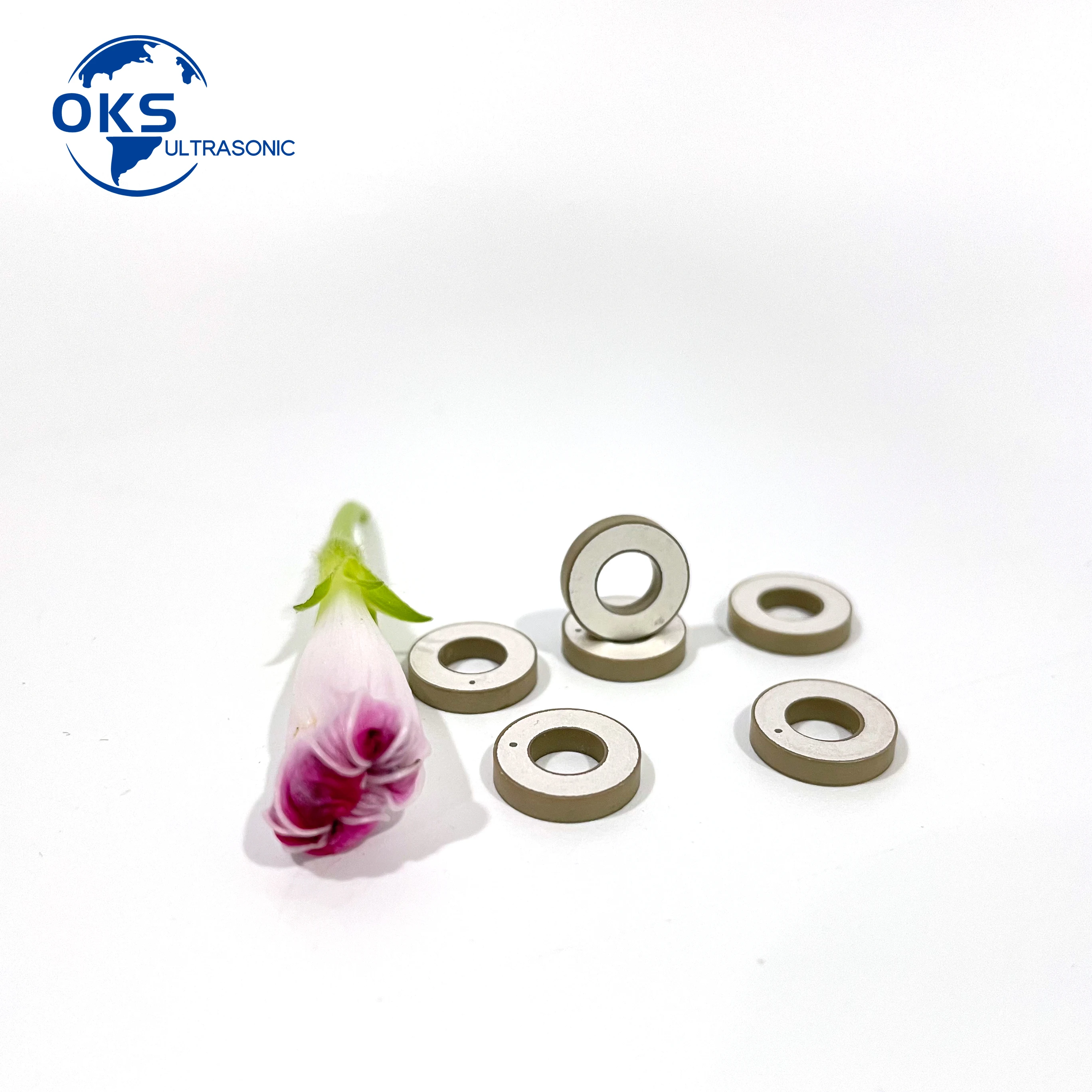 Good Selling 10*5*2mm Ring Piezo For Medical Industry Dental Cleaning