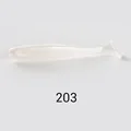 NW203