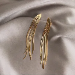 Vintage Long Metal Chain Tassel Clip on Earrings 2021 Bohemian Geometric Without Piercing Ear Clips for Women Party Jewelry Gift