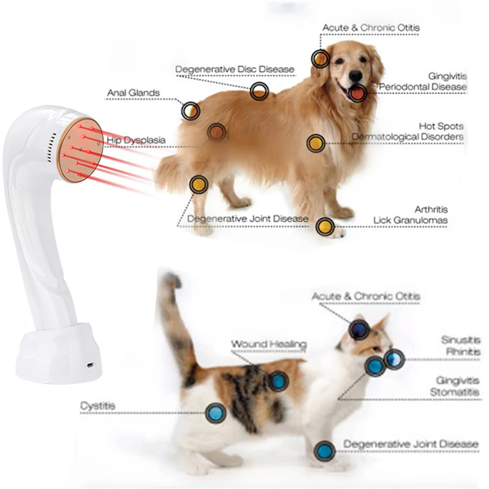 Physiothérapie au laser froid, détection chaude, traitement B du dos, équipement oto, genou, traitement de l\'arthrite, poignet, pied, cou, douleurs