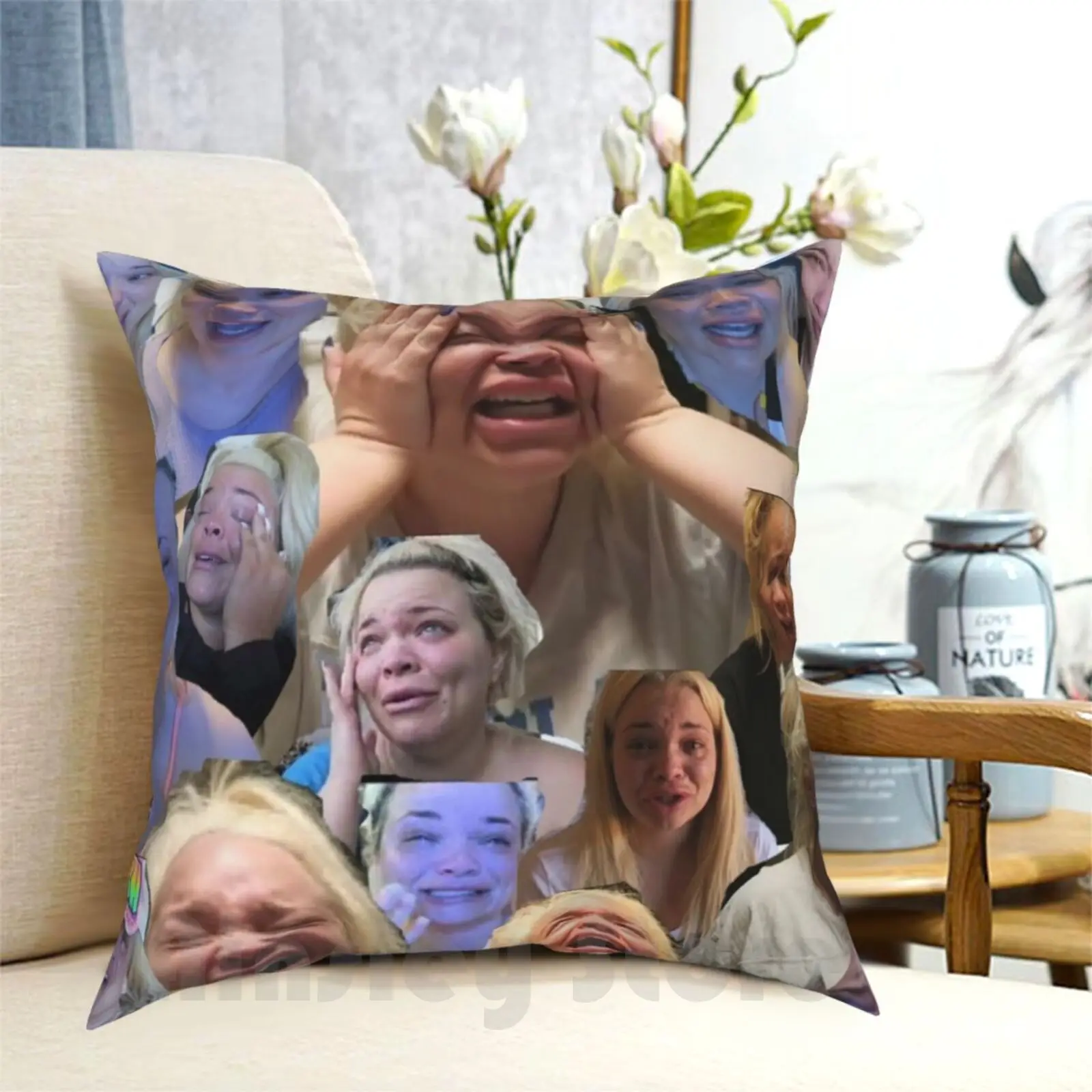 Trisha Paytas Pillow Case Printed Home Soft Throw Pillow Trisha Paytas Crying Funny Meme Edit Youtuber Youtube Shane