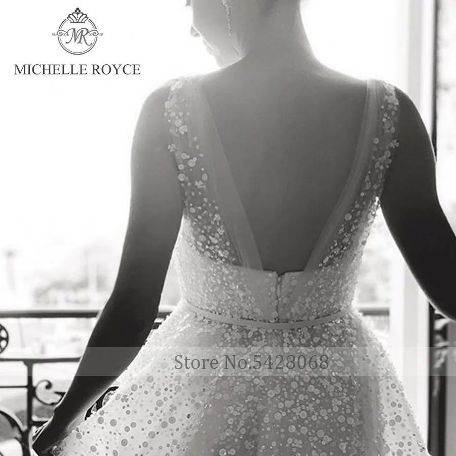 Michelle Royce – robe De mariée ligne a, en cristal, avec des Appliques, fermeture éclair, traine, collection 2022