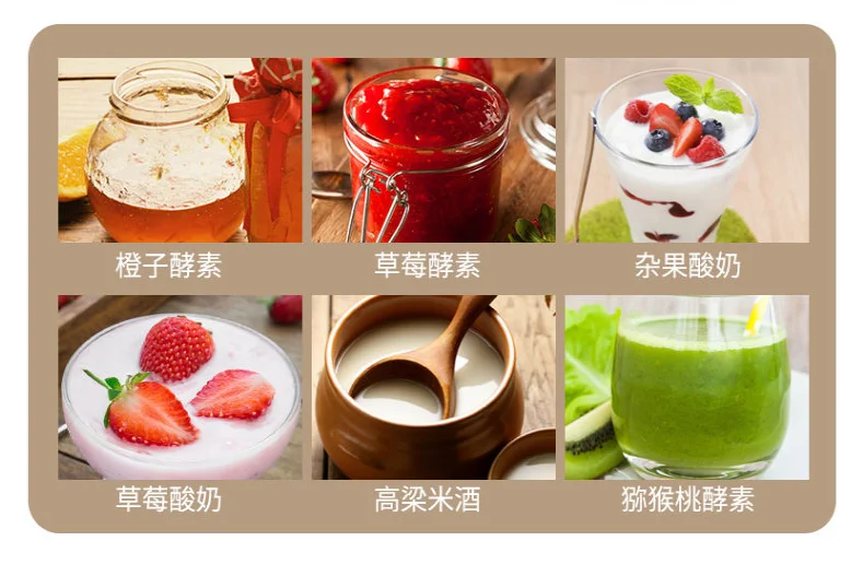 Maszyna do fermentacji chinaHousehold sunshinelife 2L diy maszyna do jogurtu automat do domowego wino ryżowe enzymatycznego 110-230-240V złota żywność