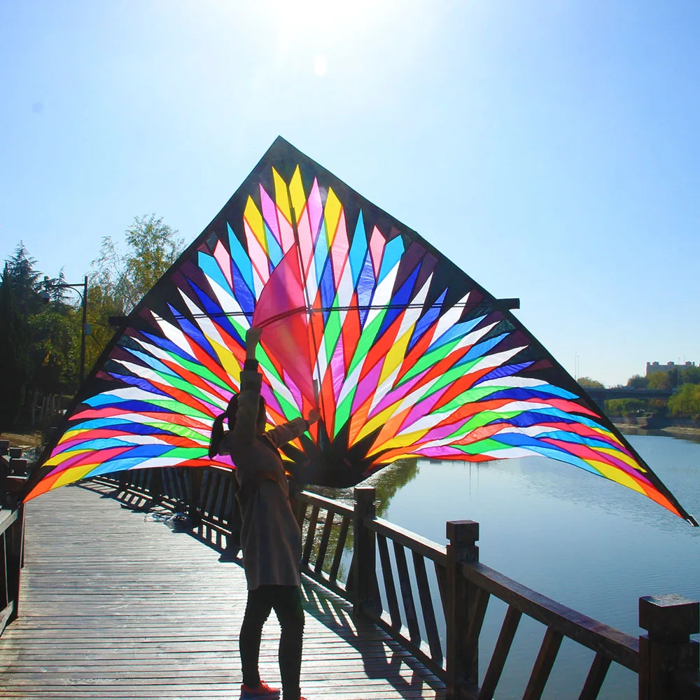 Ray kite Triangle kiteOutdoor fun Big Delta kite single line colorful triangle flying kites for audlts