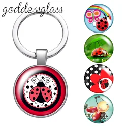 Cute Lovely Ladybug dots insect animals Round glass cabochon keychain Bag Car key chain Ring Holder Charms keychains for gift