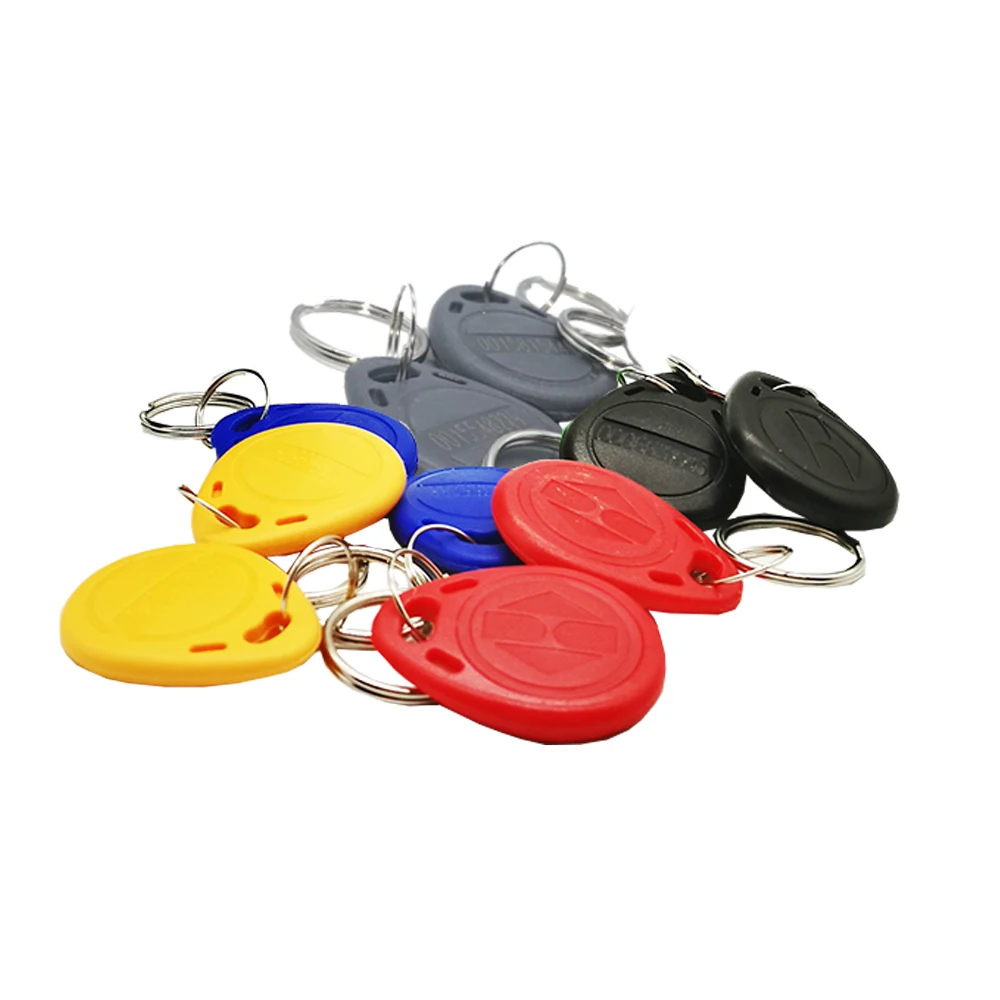 10 adet okuma sadece Read yakınlık 125Khz RFID Keyfobs kart erişim kontrolü anahtarlık kart