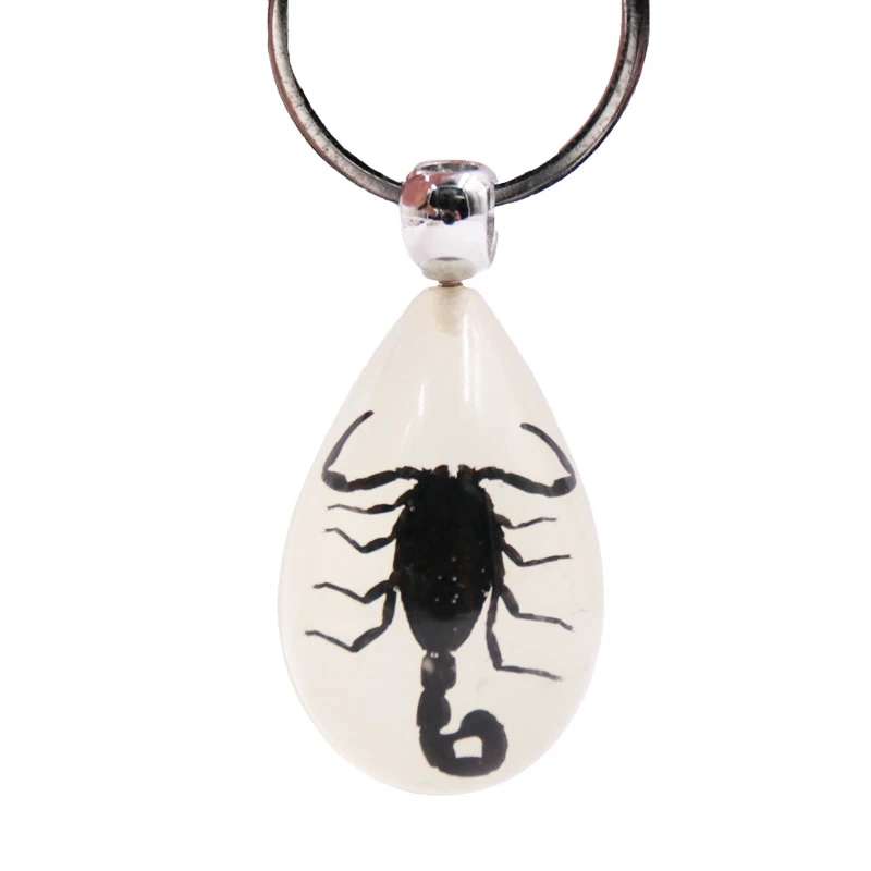 Creative Luminous Ant Scorpion Keychain - New Luminous Product Real Crab and Scorpion Key Chain Bag Car Key Ring