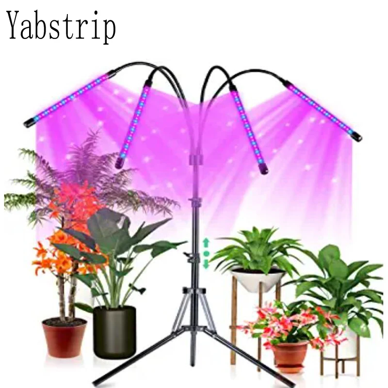 Full Spectrum Phytolamp DC 5V USB LED Grow Light Desktop Clip Phyto Lamps for Indoor Plants Flowers Seedling Grow Tent Fitolampy