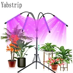 Full Spectrum Phytolamp DC 5V USB LED Grow Light Desktop Clip Phyto Lamps for Indoor Plants Flowers Seedling Grow Tent Fitolampy