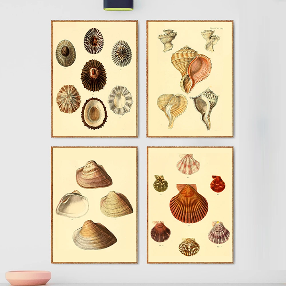

Sea Shell Prints Vintage Seaside Beach Print Illustrations Canvas Painting Posters And Picture On The Wall Decorative Home Decor