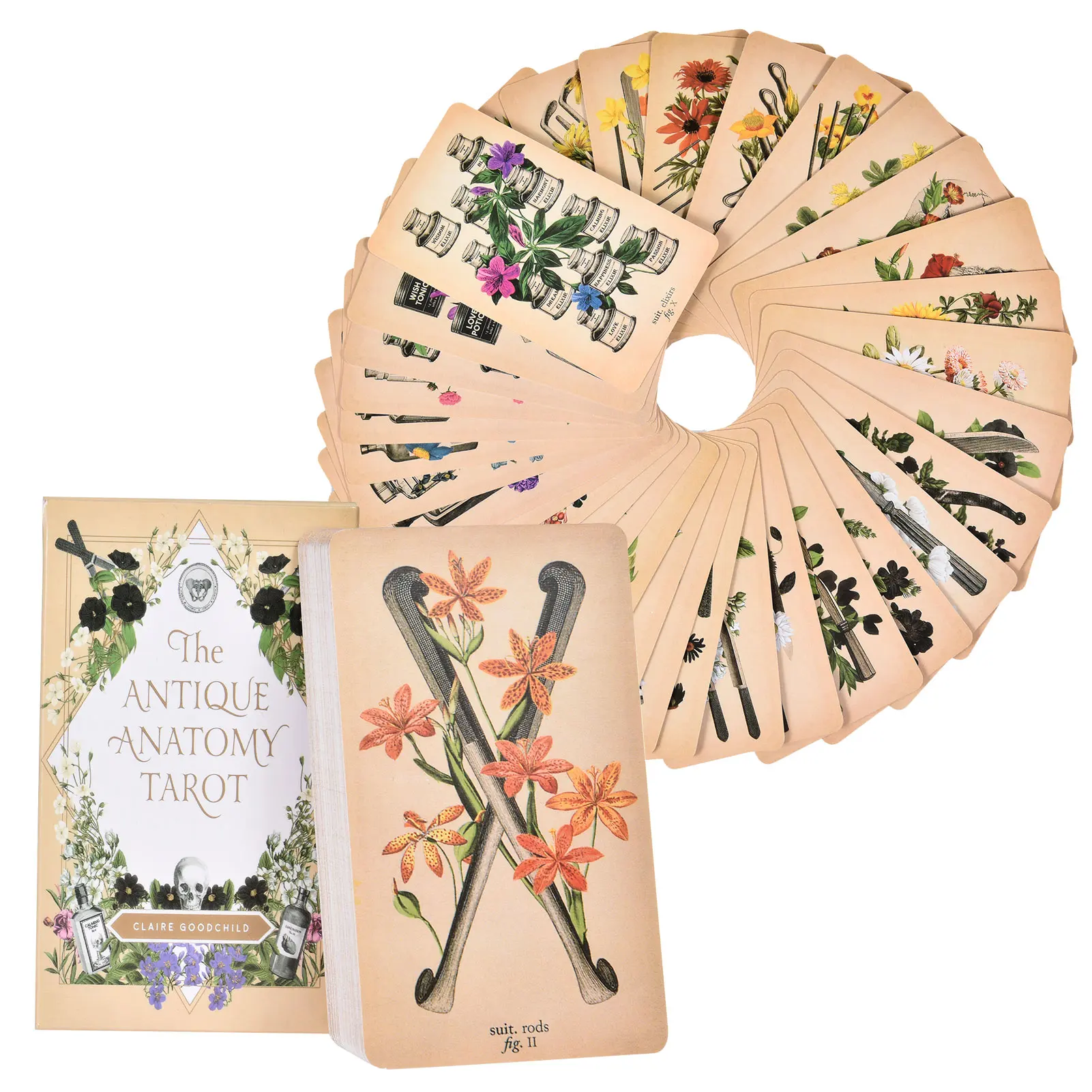 The Antique Anatomy Tarot Cards English Version tarot deck PDF Guidebook Board games for Women personal use