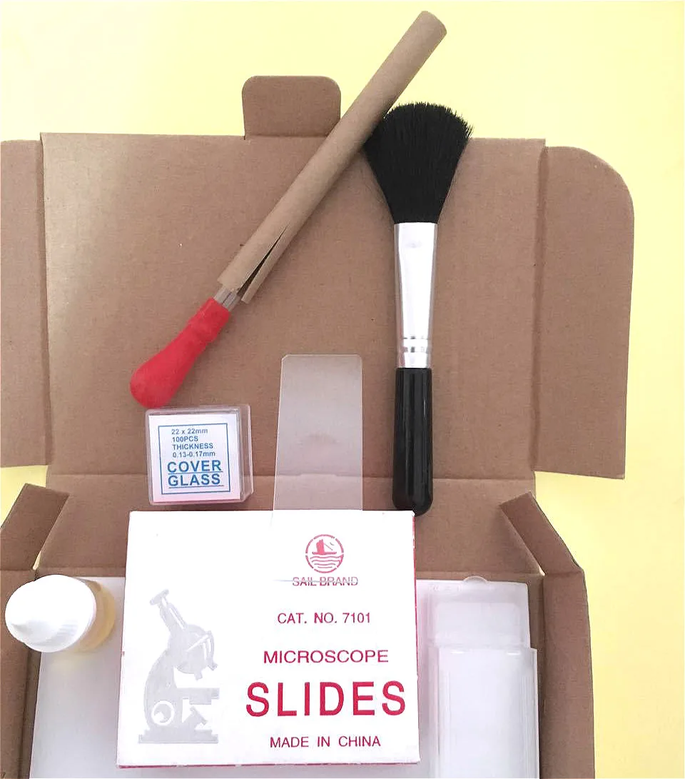Set di accessori per strumenti per la pulizia del microscopio Slides Coverslip Kit Cover Glass Solides Box Dropper Sweep 1 Set Tota