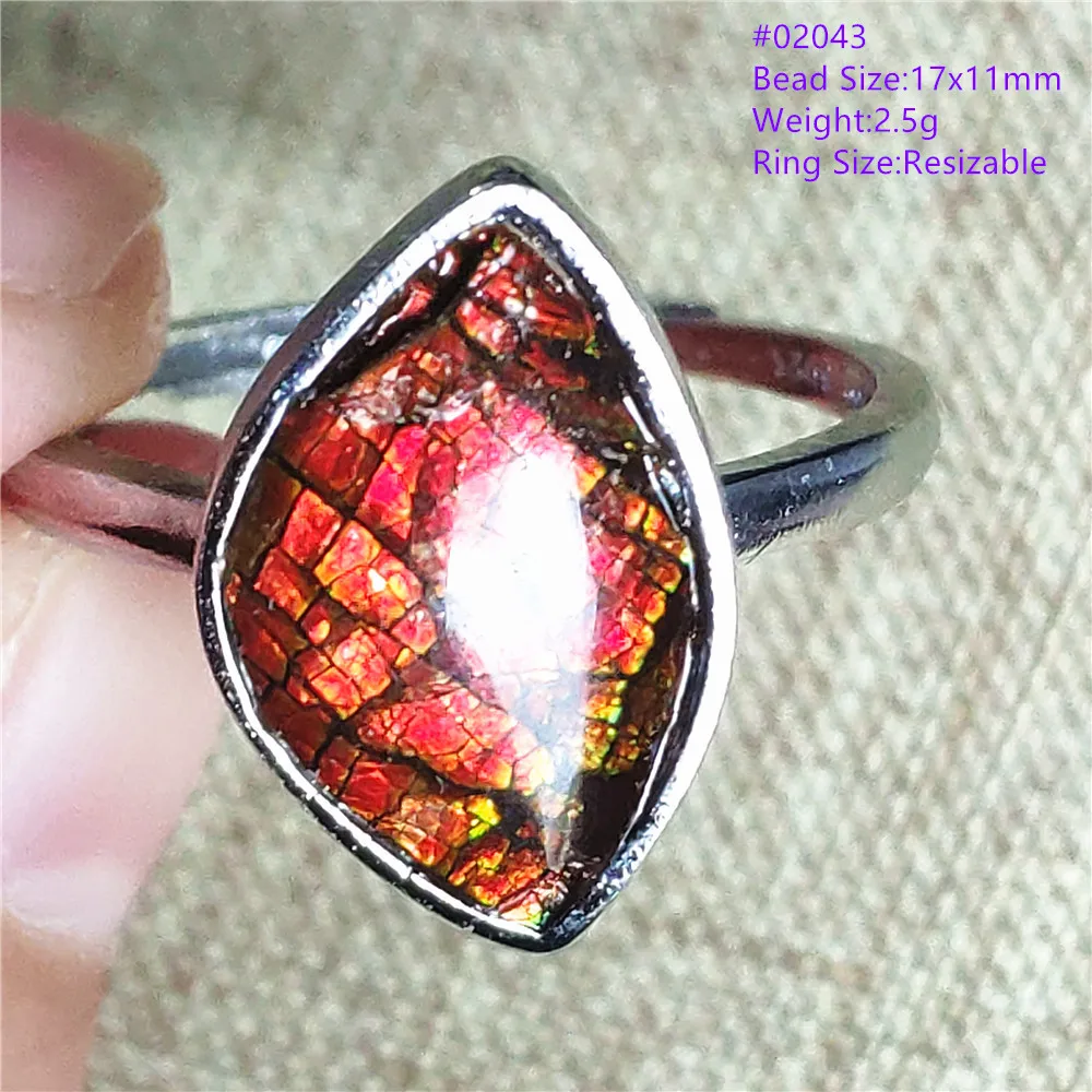 Natural Red Yellow Ammonite Ammolite Adjustable Ring 925 Sterling Silver Fashion Oval Ring AAAAAA