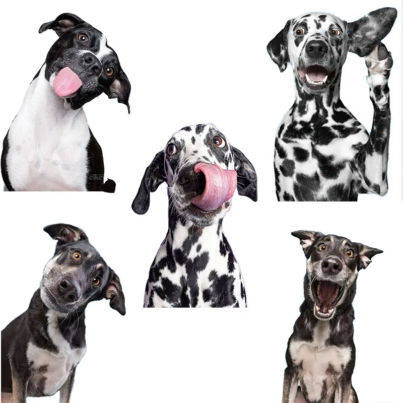 Three Ratels QD112 Funny hound head sticker Lovely spotted dog home decoration Refrigerator Decal laptop toilet sticker