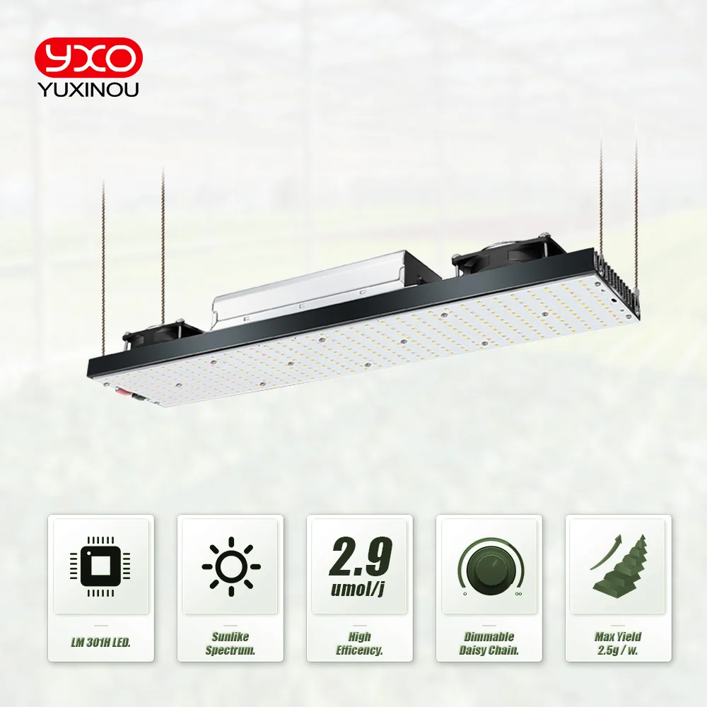 Imagem -02 - Sam-ng-full Spectrum Led Grow Lights Lm301h 240w 480w 720w Cresça a Luz para Vegetais de Interior Flor Mudas