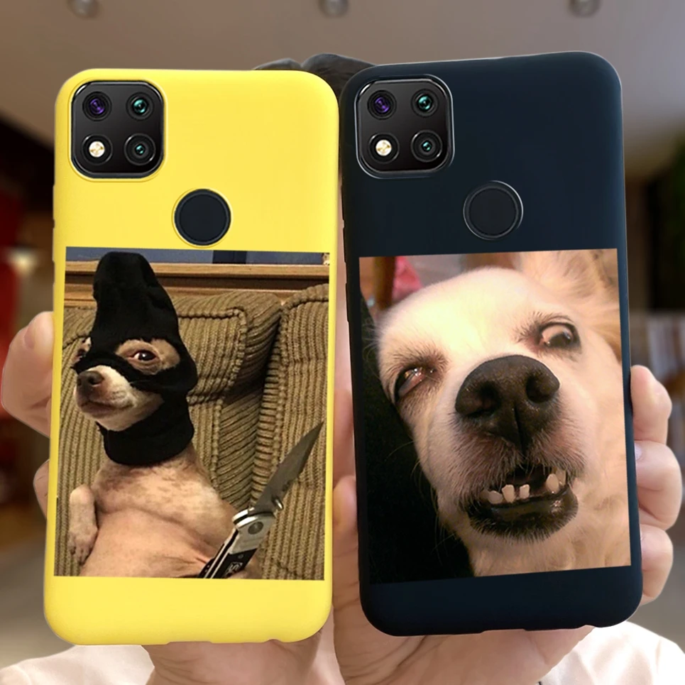 Funny Animals Cat D…