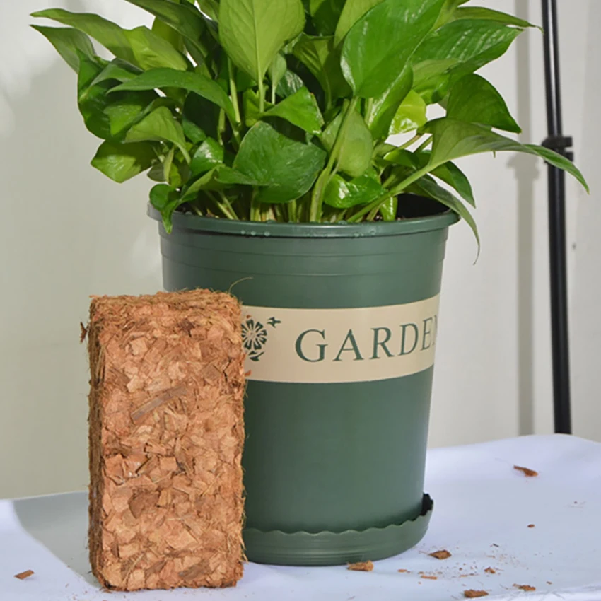 500g Green Natural Plant Coconut Shell Brick Universal Organic Nutrient Soil Coarse Grain Coconut Brick For Garden Vegetable