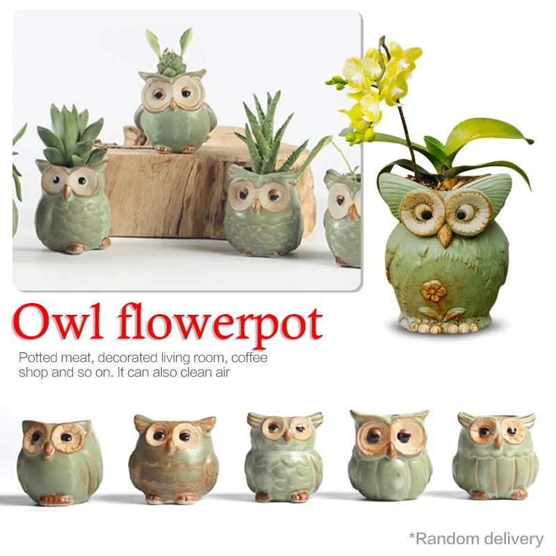 AUGKUN Cartoon Owl Shaped Succulent Plant Ceramic Flowerpot Home Decoration Random Styles Delivery Potted Plants Biological