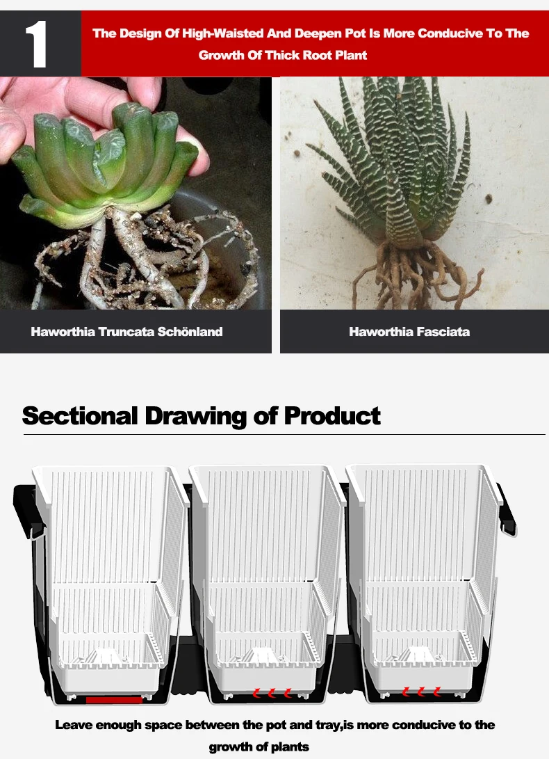 Meshpot Kunststoff Sukkulenten Topf High Saist Kaktus Pflanzer Bonsai Garten Lieferant aus gezeichnete Drainage und atmungsaktive Pflanzen Topf – Detail 12