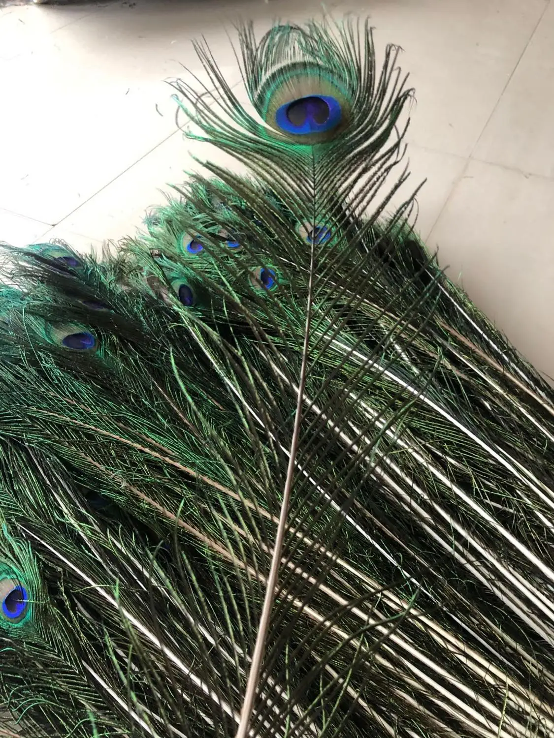 Wholesale 60-70cm Natural Big Eyes Peacock Feathers 50/100PCS for Vase Crafts Jewelry Accessories Home Party Decoration Plumes