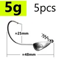 5g