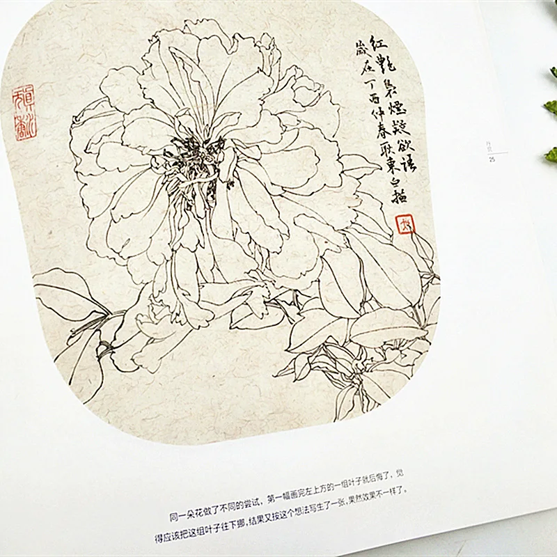

Peony Chinese painting flowers and plants fine brushwork sketch book