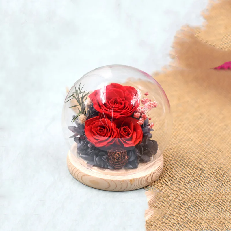 8sets/pack Diameter=10cm Small Size Log Base Glass Dome Vase Home Decoration Round Transparent Cover Friend Gift Wedding Prop