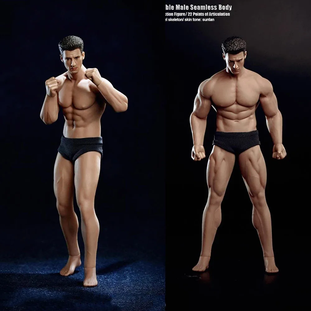 TBLeague PH2019-TM02A /TM01A 1/12 Super Fitness Flexible Suntan Seamless Body with Head Sculpt 6'' Man Action Figure Model