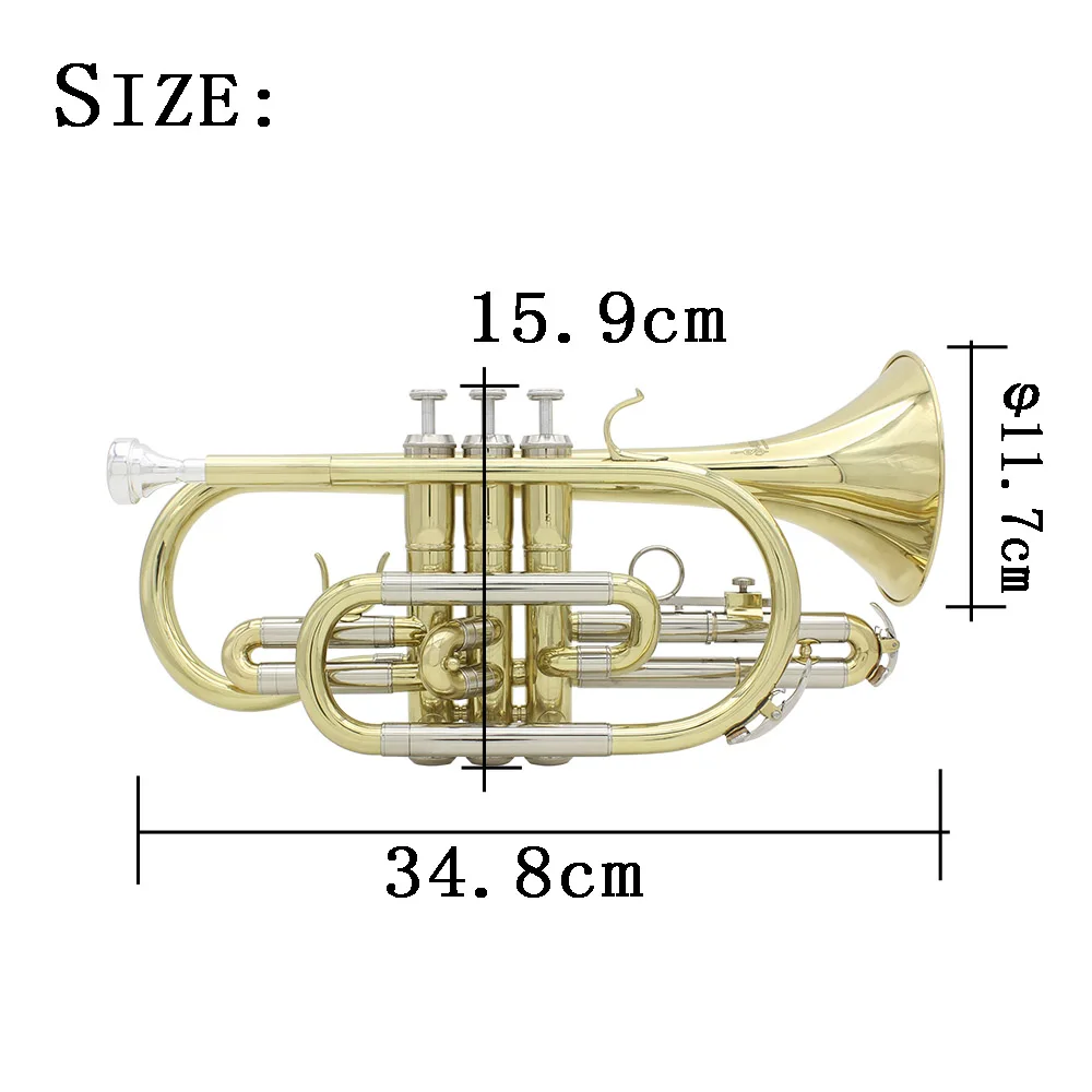 Professional Bb B Flat Cornet Gold Plated Brass Wind Instrument High Quality With Mouthpiece Gloves Cleaning Cloth Carrying Case