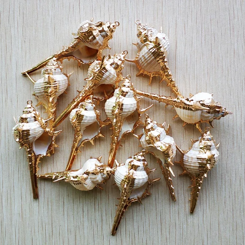 Wholesale 12pcs/lot Natural Gold color side Conch Shells For DIY Pendant Beige Seashell Craft Handmade jewelry Accessories free