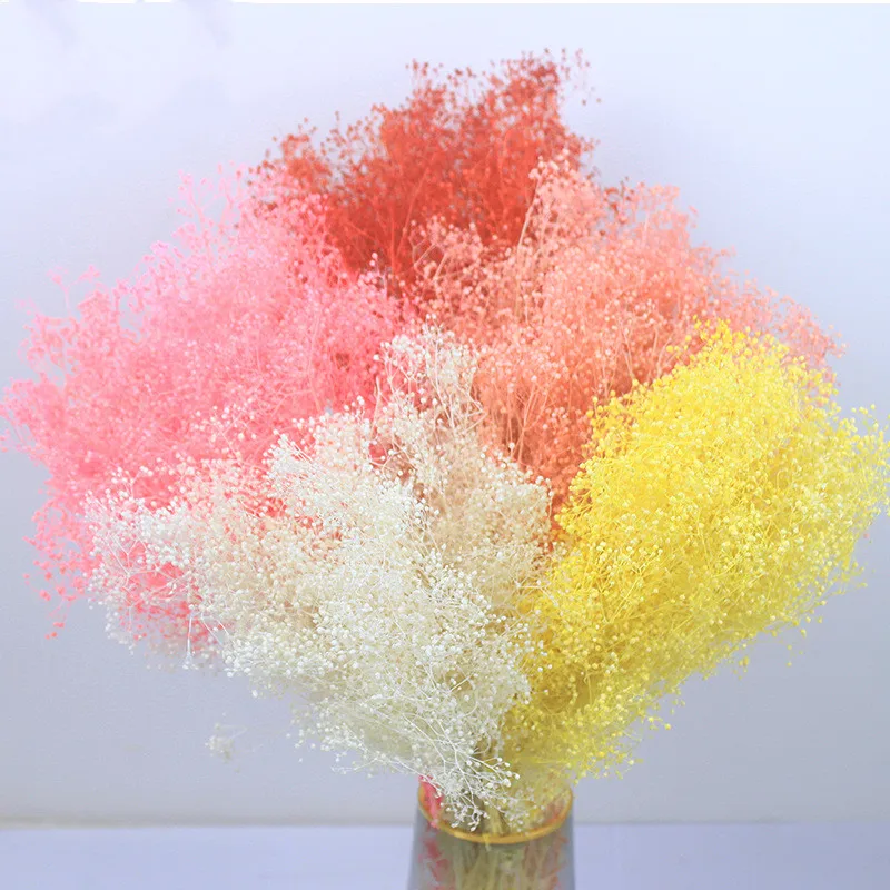 60g Mini Babys Breath Dried Natural Flowers Preserved Million Babybreath Bouquet Dry Eternell Gypsophila Flower Home Decor