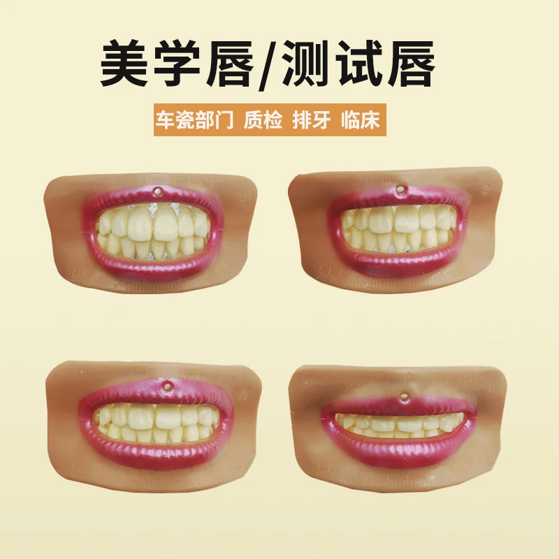 

High-quality Dental lab denture laboratory mouth measuring lip measurement tool aesthetics parts 4 pcs different shape