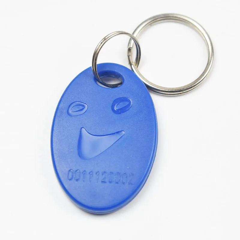 100 Stks/partij Rfid Sleutelhangers Ring 125Khz TK4100/Em 4100 Proximity Abs Id Key Tags Voor Toegangscontrole