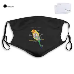 Casual Sun Conure Funny Parrot - Anatomy of A Sun Conure máscara facial filtro de bolsillo paño reutilizable lavable