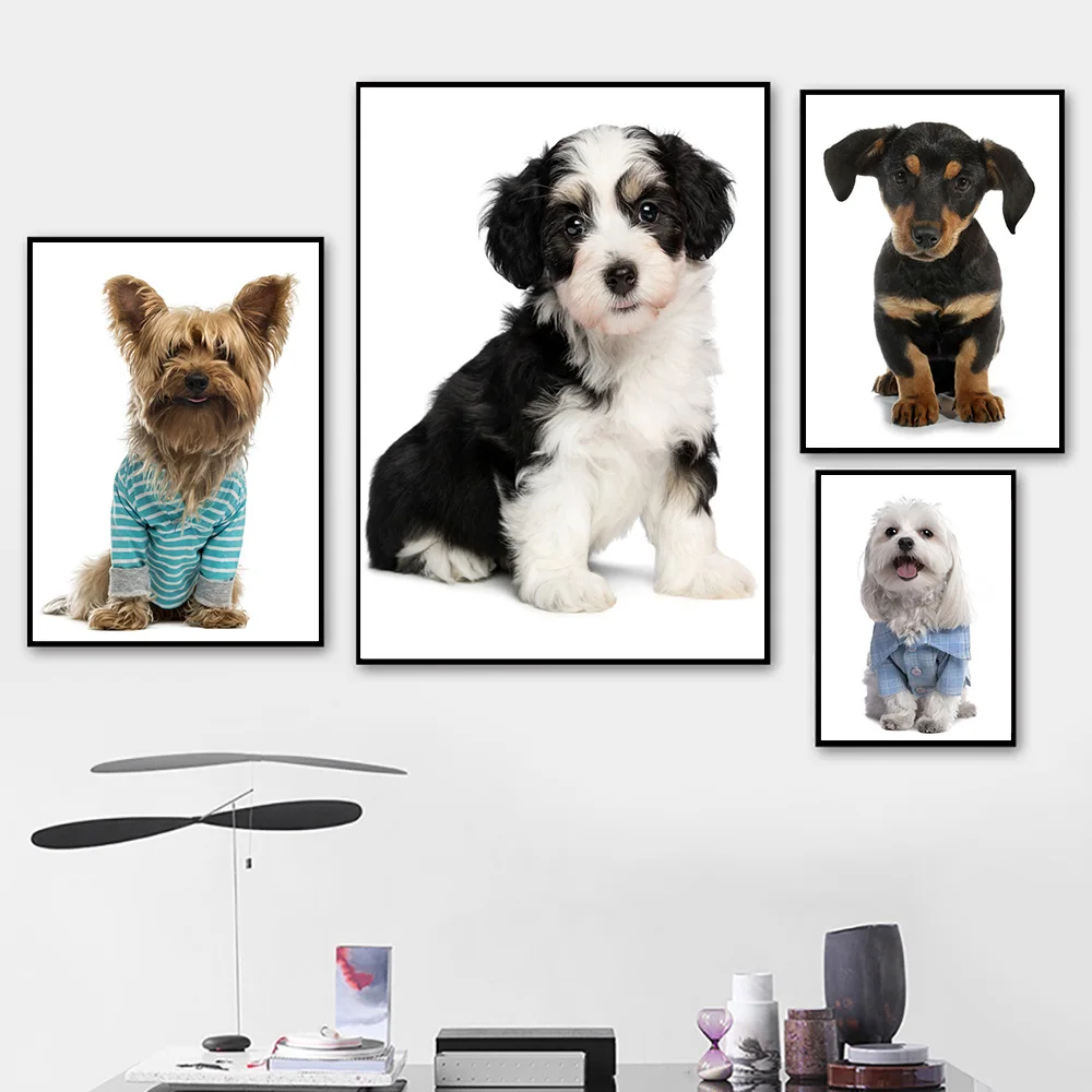 Puppy Dog Wall Art Canvas Prints Posters,Cute Puppy Black and White Dog Yorkshire Terrier,Rottweiler Wall Art Boy Girl Room