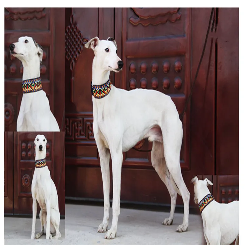 Schapenvacht Materiaal Halsband Grote, Middelgrote En Kleine Hond Kraag Greyhound Windhond Kleine Hond Etnische Lederen Kraag