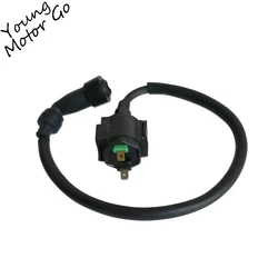 Ignition Coil for CA250 DD250 QJ250-3-F Motorcycle Rebel CMX250 Vento Barracuda KEEWAY Supertiger 253FMM Tank Vision Texan