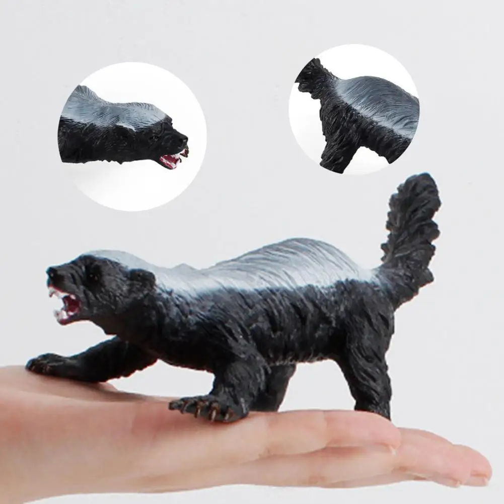 Shock Resistant Lightweight Ideal Gifts Honey Badger Toy Ideal Gifts Miniature Honey Badger for Children