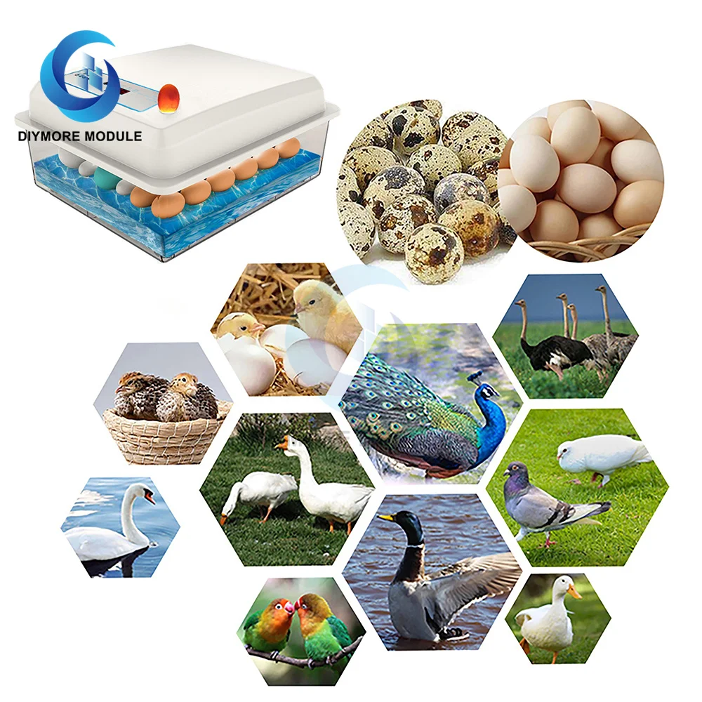 20-50 eggs household incubator small plastic bionic water bed incubator automatic temperature control egg incubator 220v US-plug