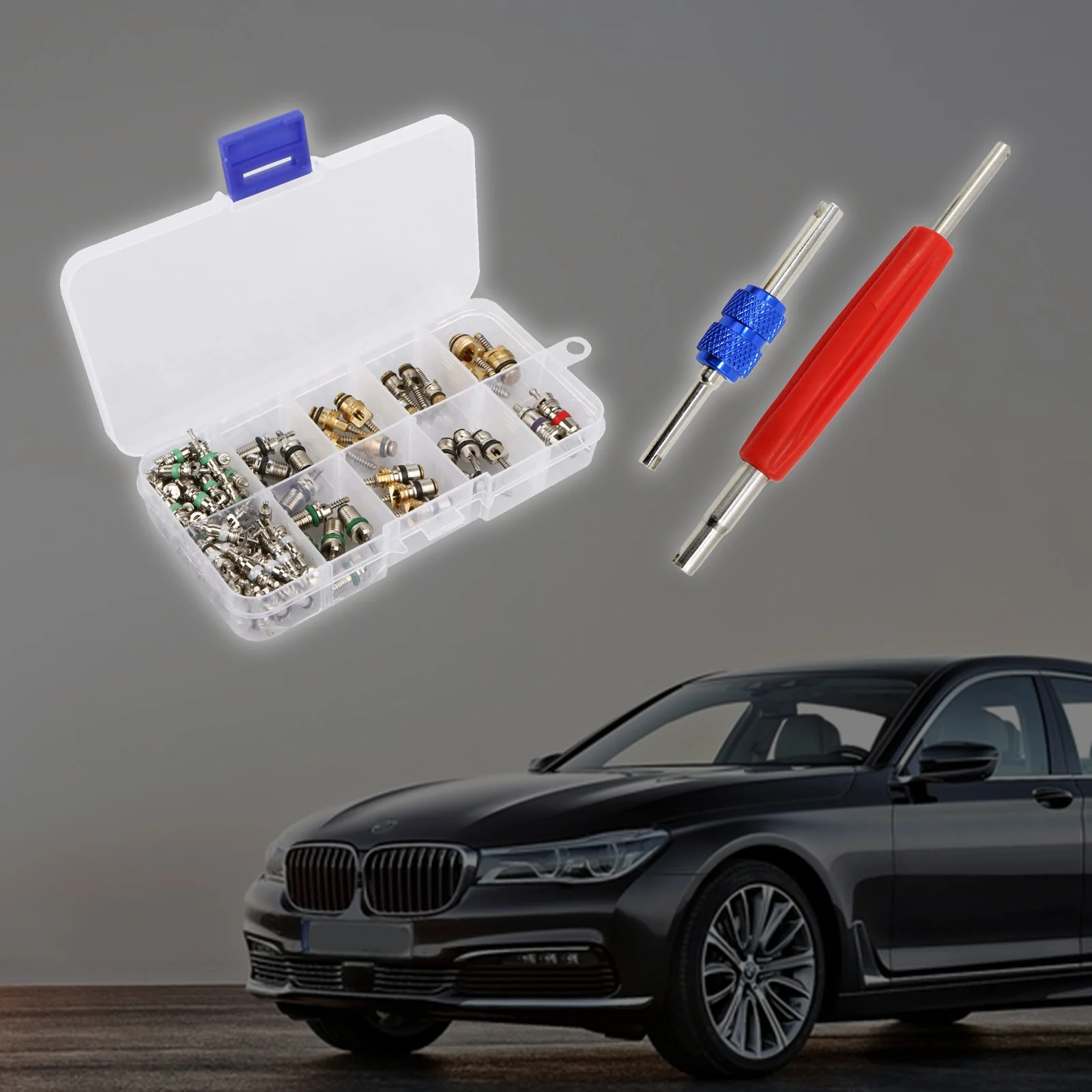 

New 100Pcs/box R134A Car A/C Core Valves Automotive Air Conditioning Assortment Kit With 2 Remover Tool Kit Set