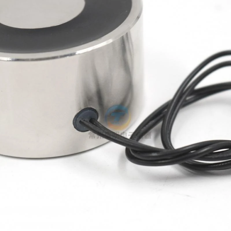 Ventosa di sollevamento tipo 100N Micro elettromagnete elettromagnetico forte circolare Dc 24V12V industria 50Kg