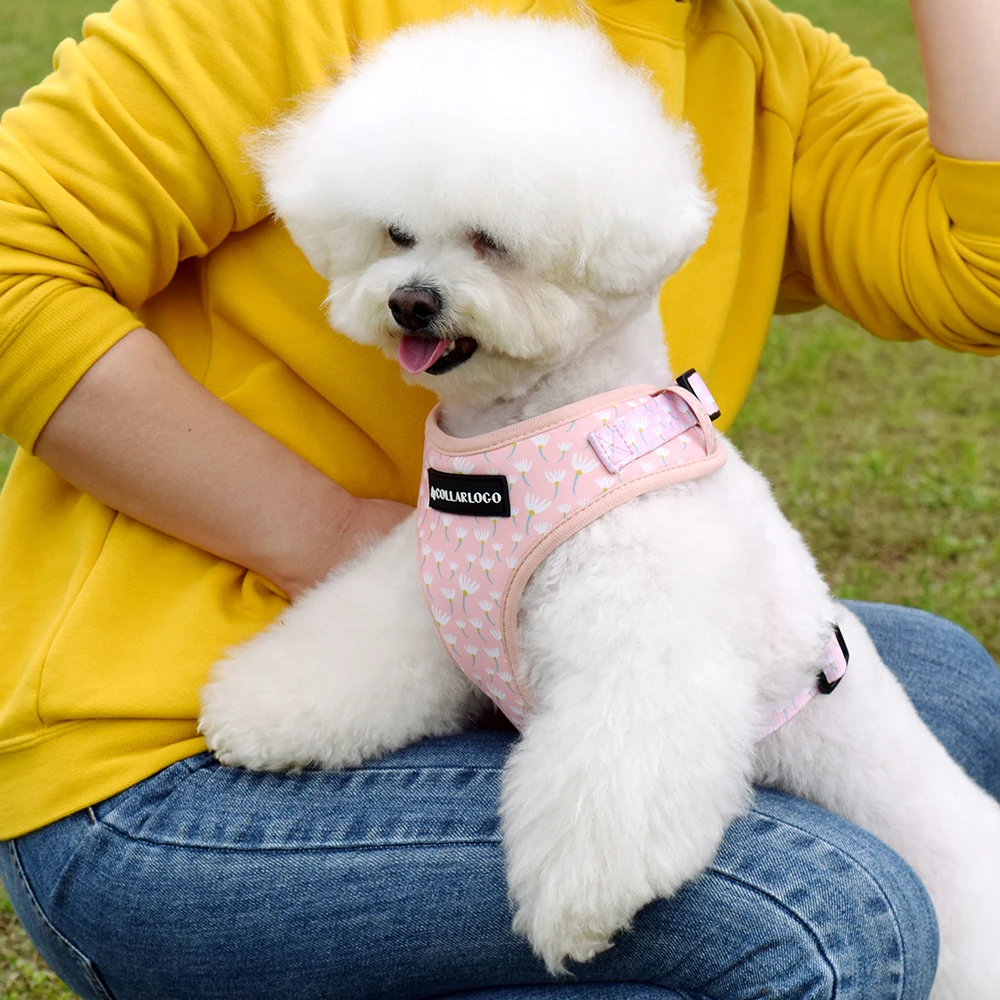 Adjustable Pet Dog Collar Durable Soft Cute Creative Colored Dandelion Design Leash Neoprene Harness With Poop Bag Dispenser