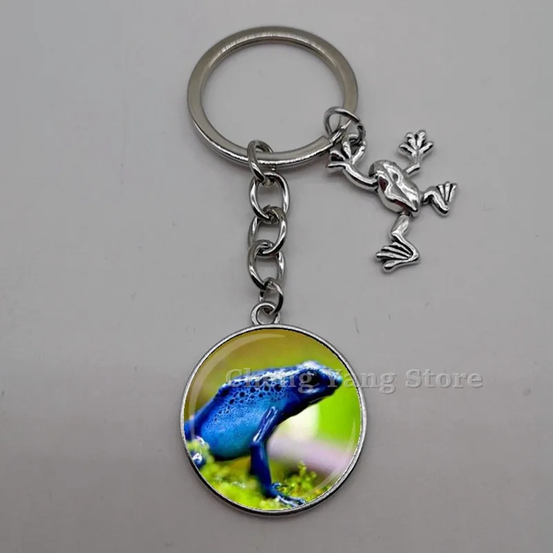 Playful and cute frog glass convex round keychain pendant, charm frog keychain, DIY keychain