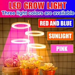 LED Full Spectrum Phyto Light Grow Lamp 5V Hydroponic Bulb 1 2 3 4Head Indoor Led Plant Lamp USB Flower Seedling Light Grow Tent