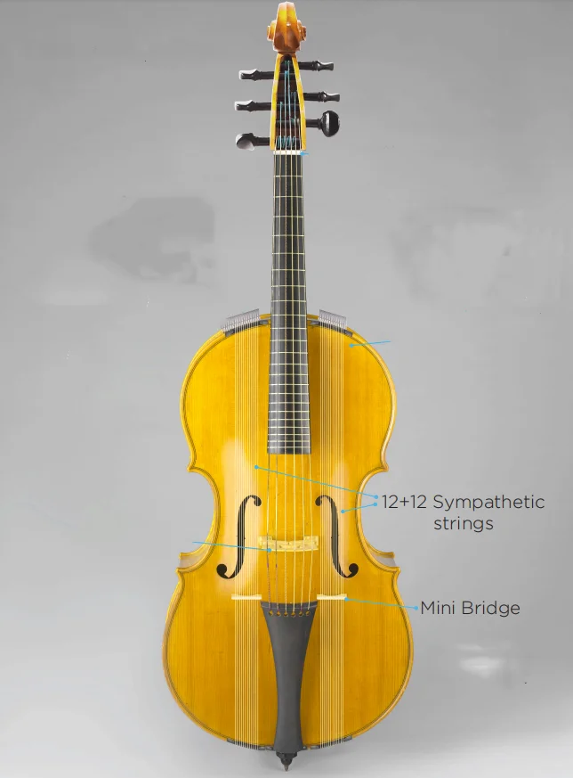 

Standard full-scale 6 strings Cello-Arpeggione with 24 sympathetic strings