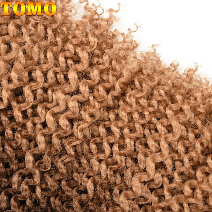 TOMO Passion Twist Crochet Hair Synthetic Curly Braiding Hair Extensions for Women 14 18 22Inch 22Strands Spring Twist Braids